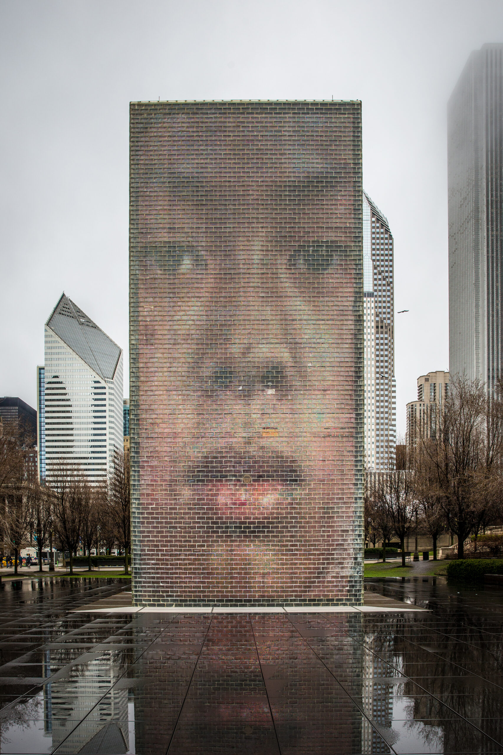 Chicago Millenium Park