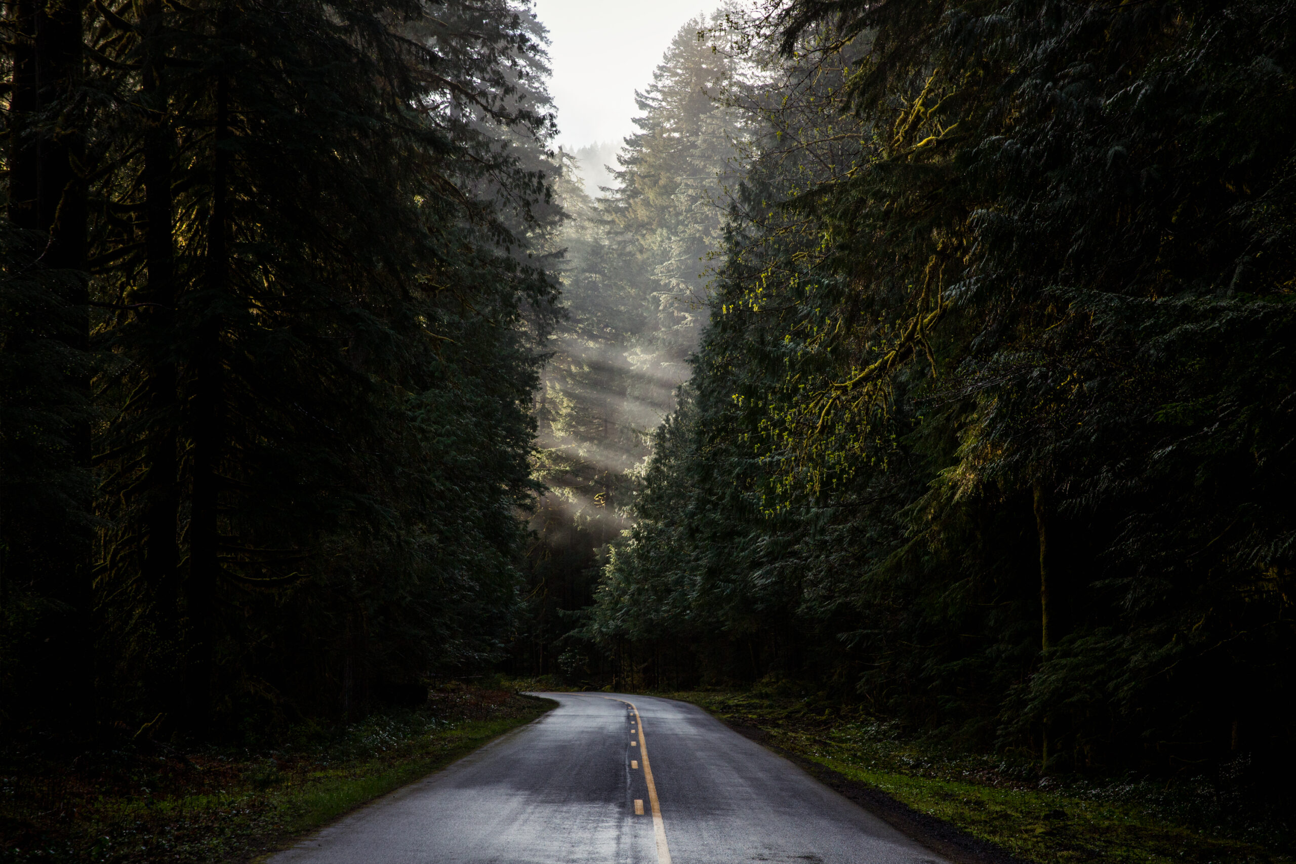 Oregon morning
