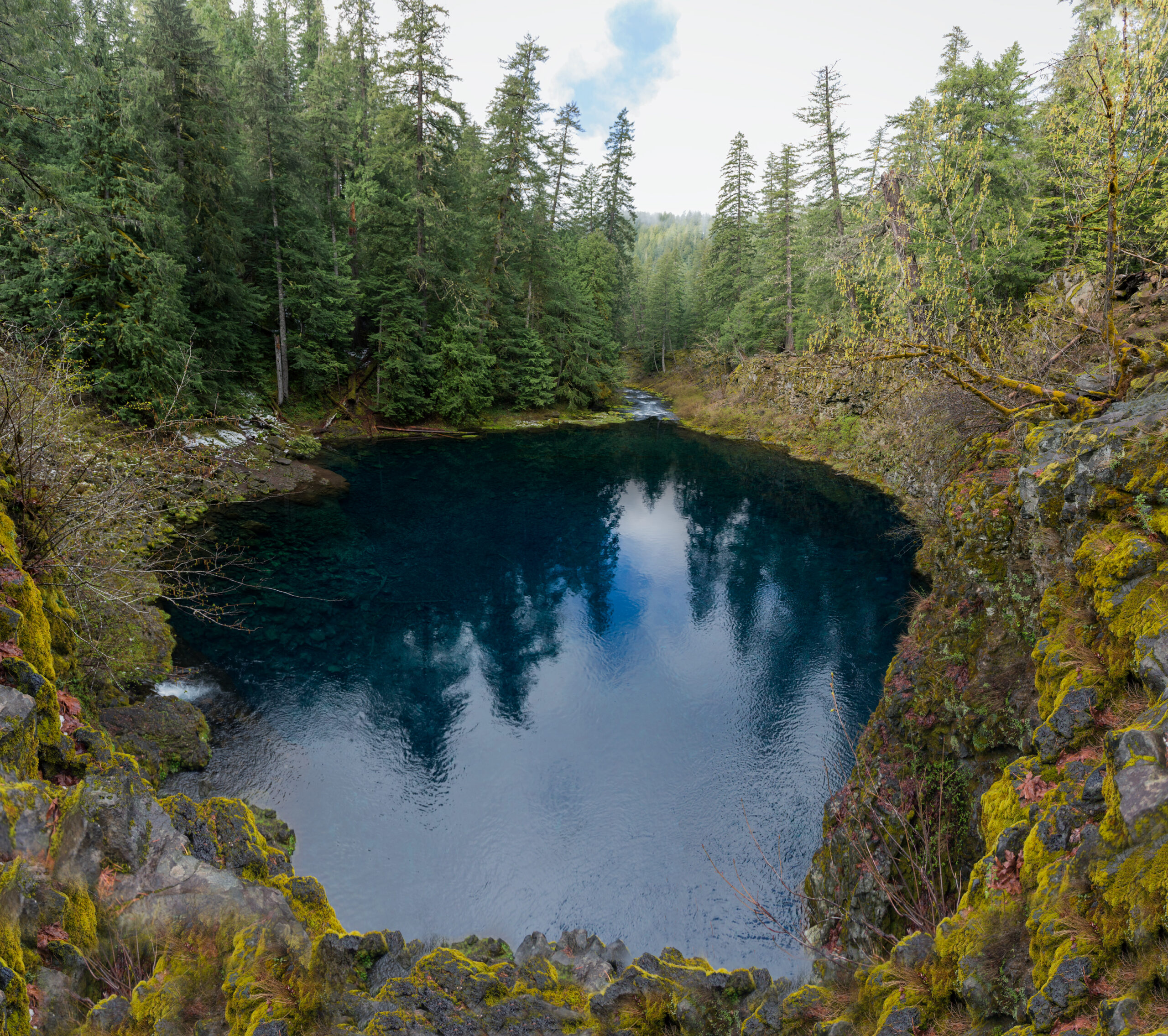 Tamolitch Falls - Tamolitch Blue Pool 