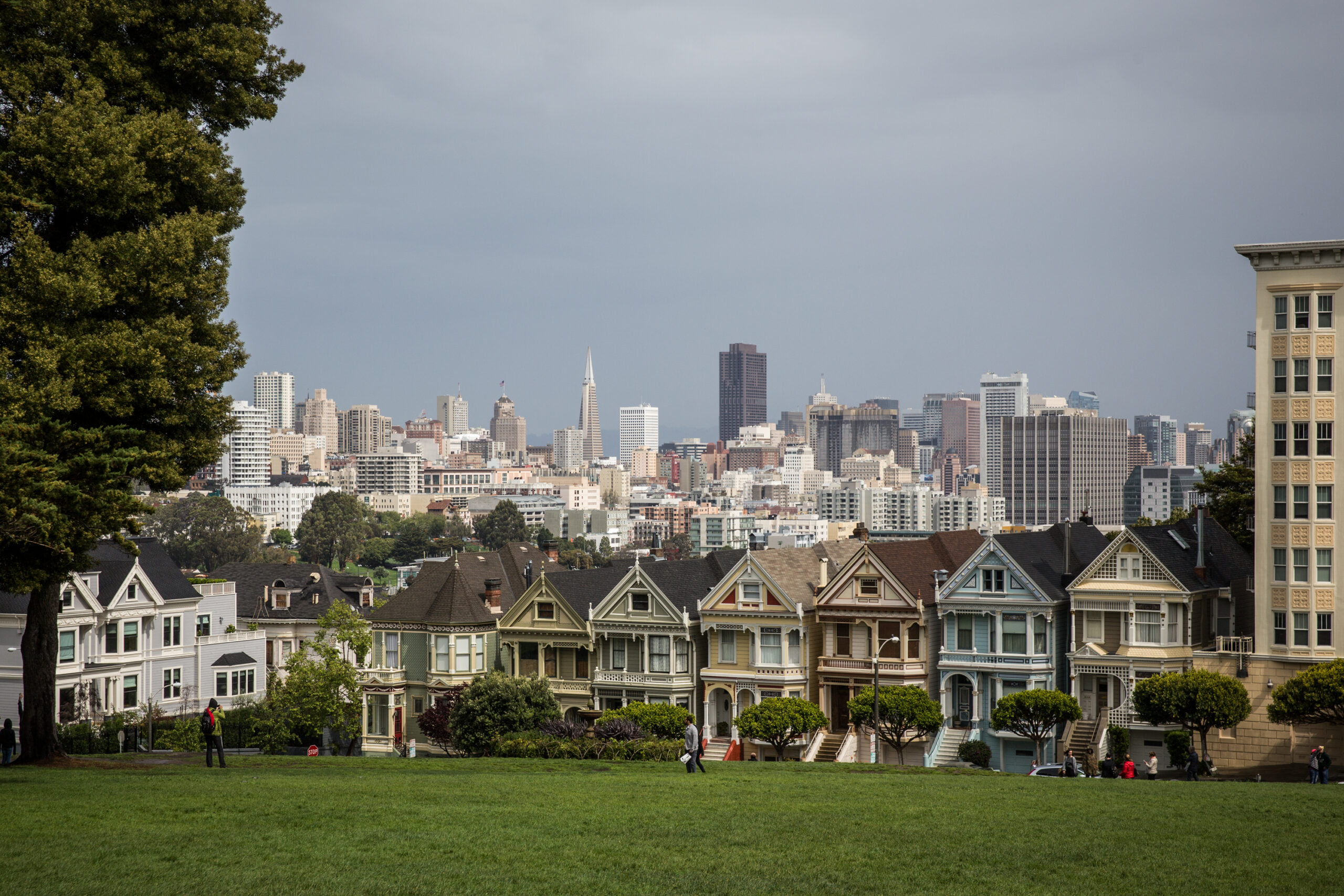 Painted Ladies