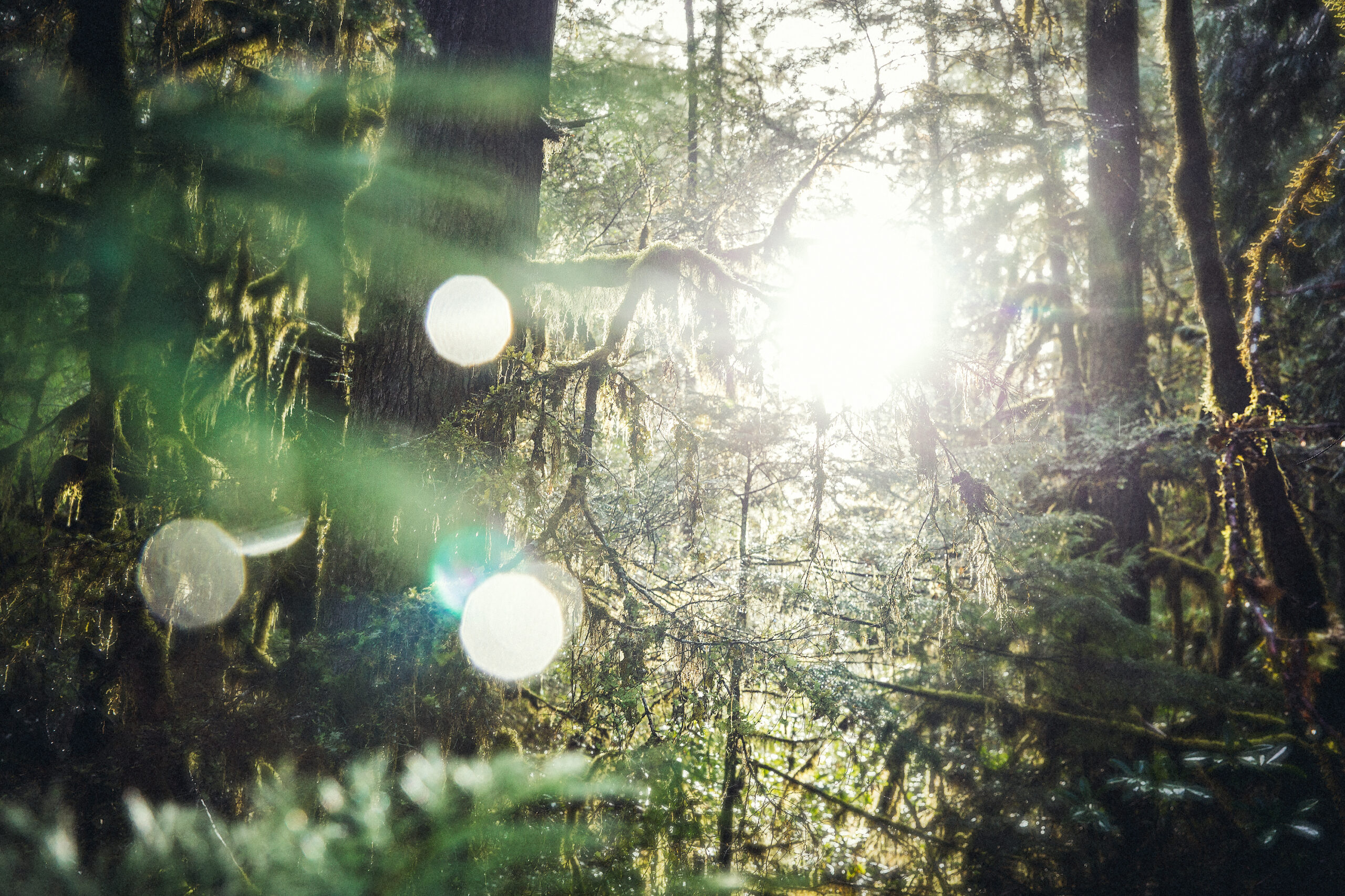 En route Tamolitch Falls