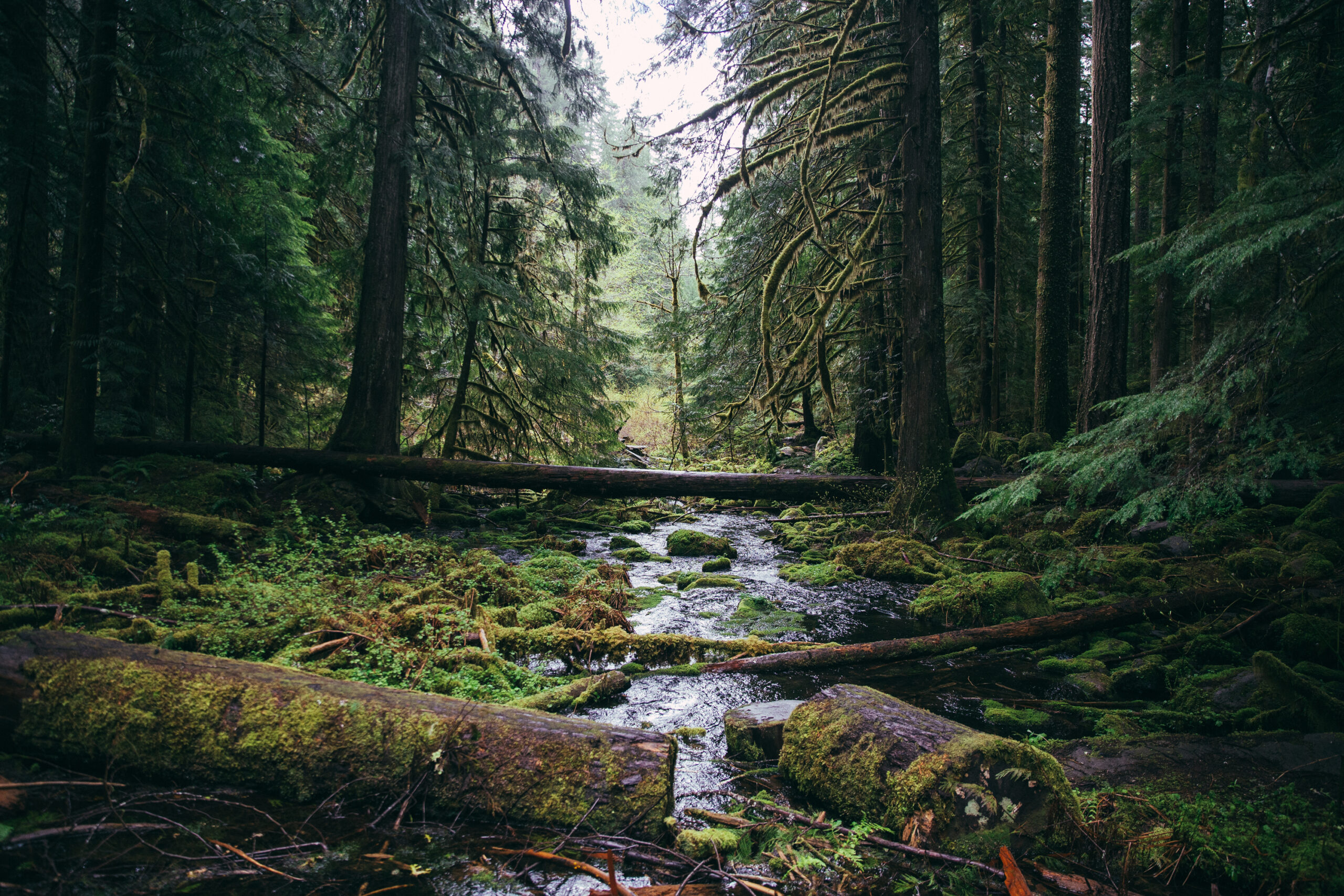 En route Tamolitch Falls