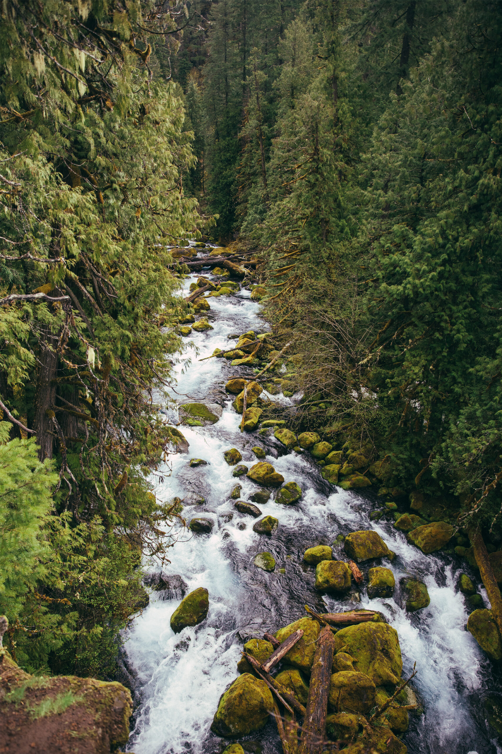 En route Tamolitch Falls