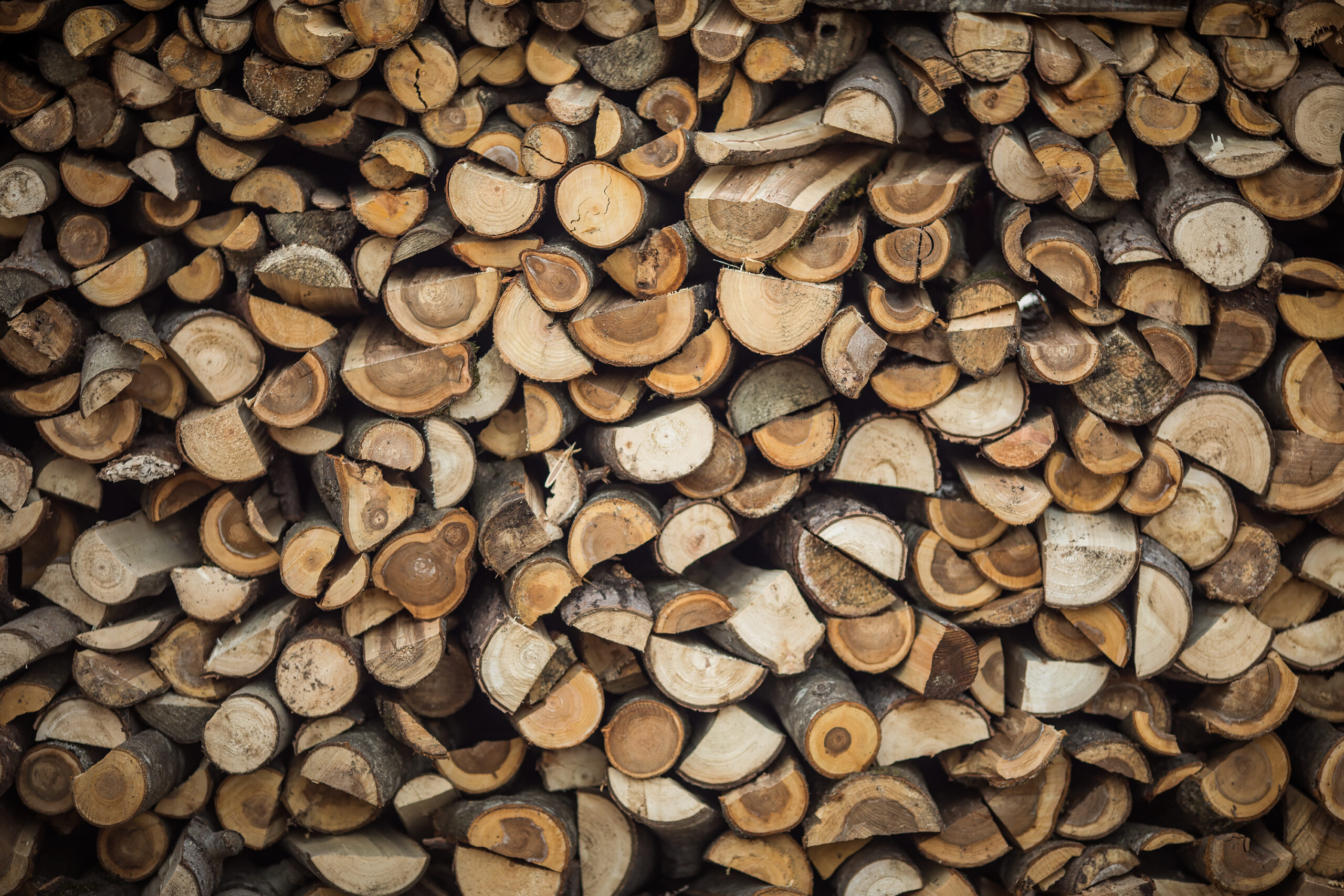 Got Wood