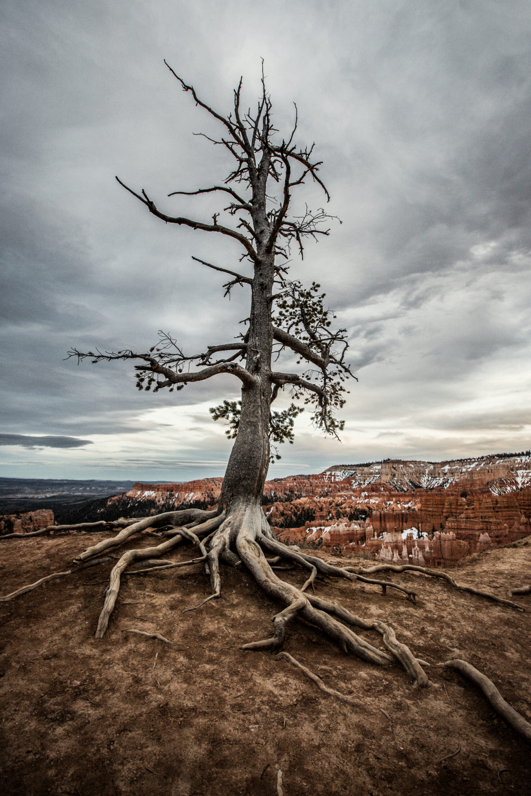 Bryce Canyon