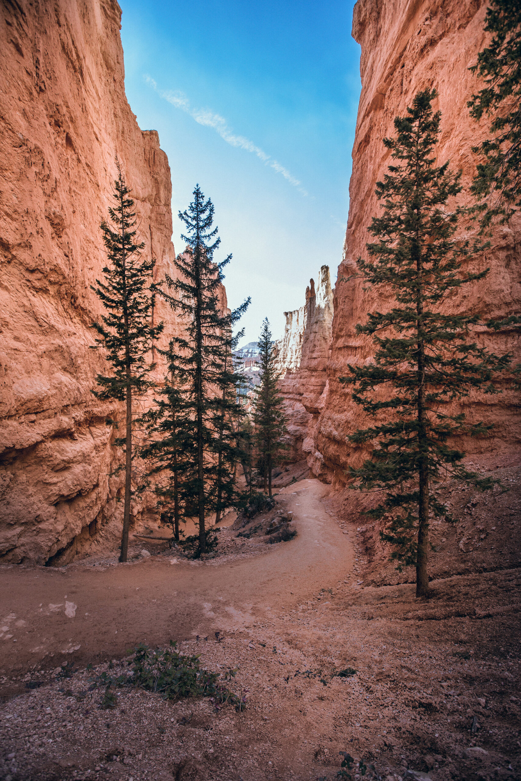Bryce