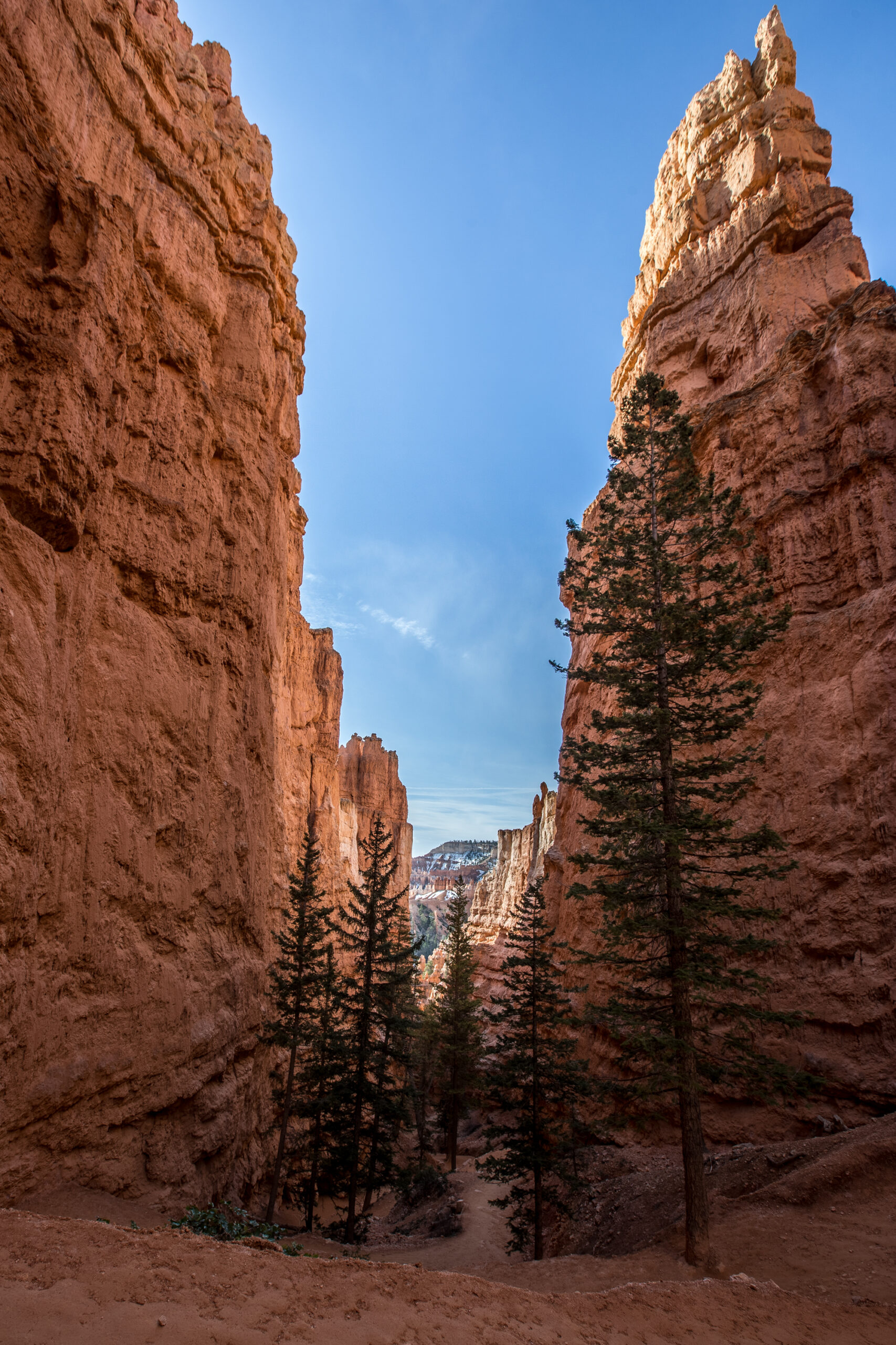 Bryce