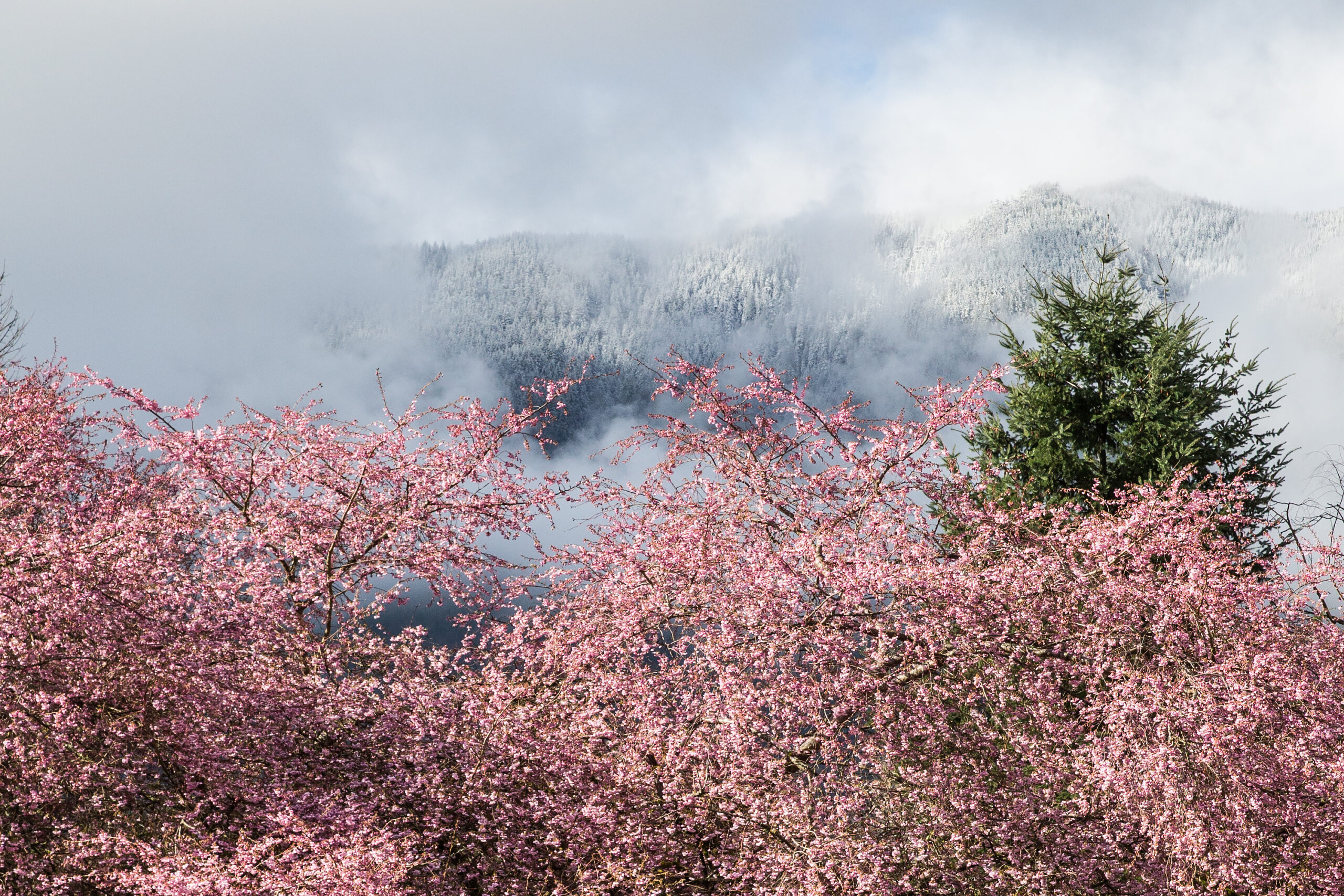 Summer & Winter, North Bend