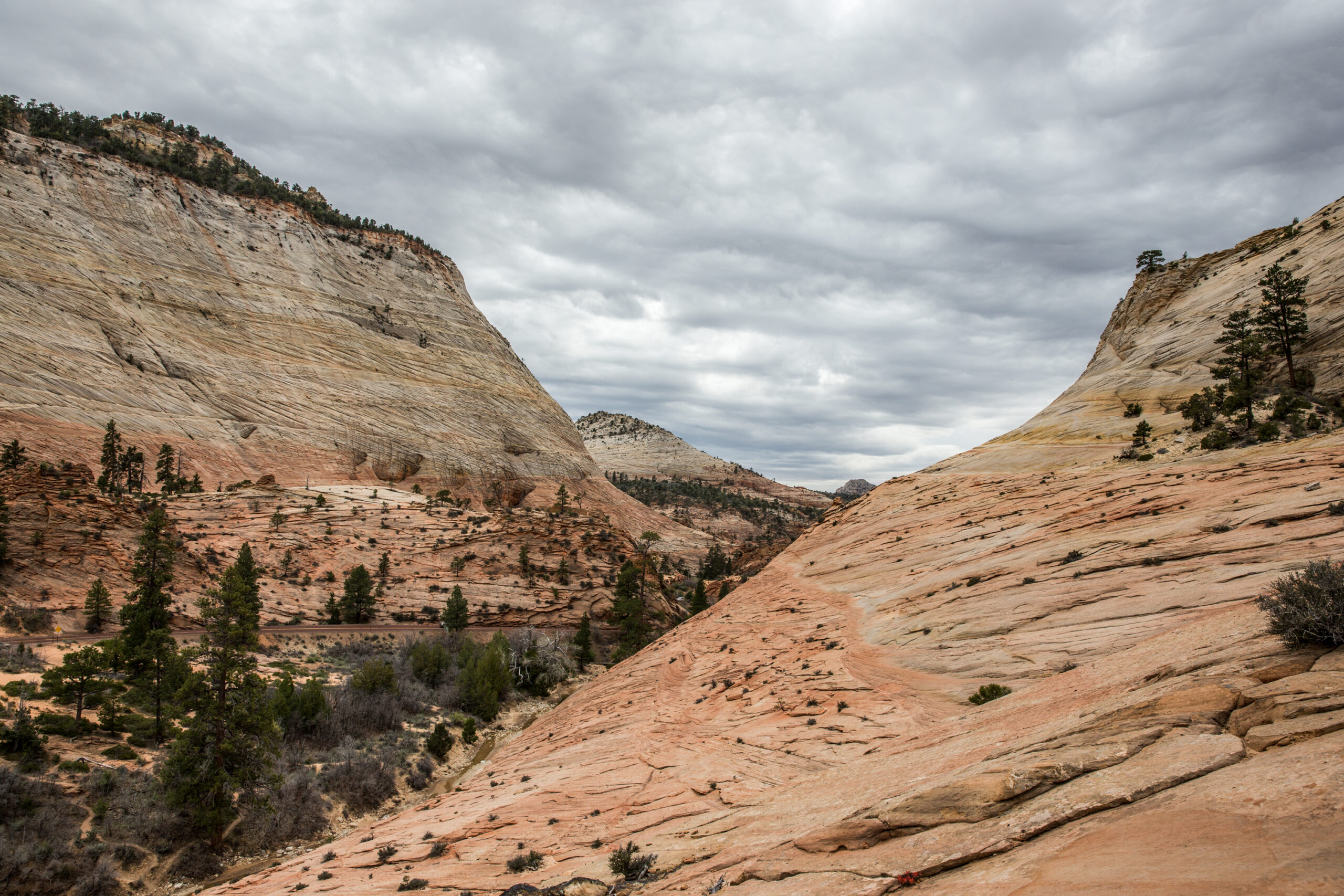 Zion