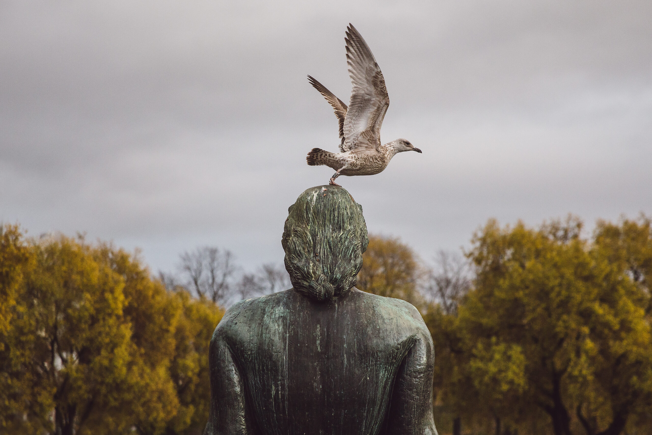 Bird One