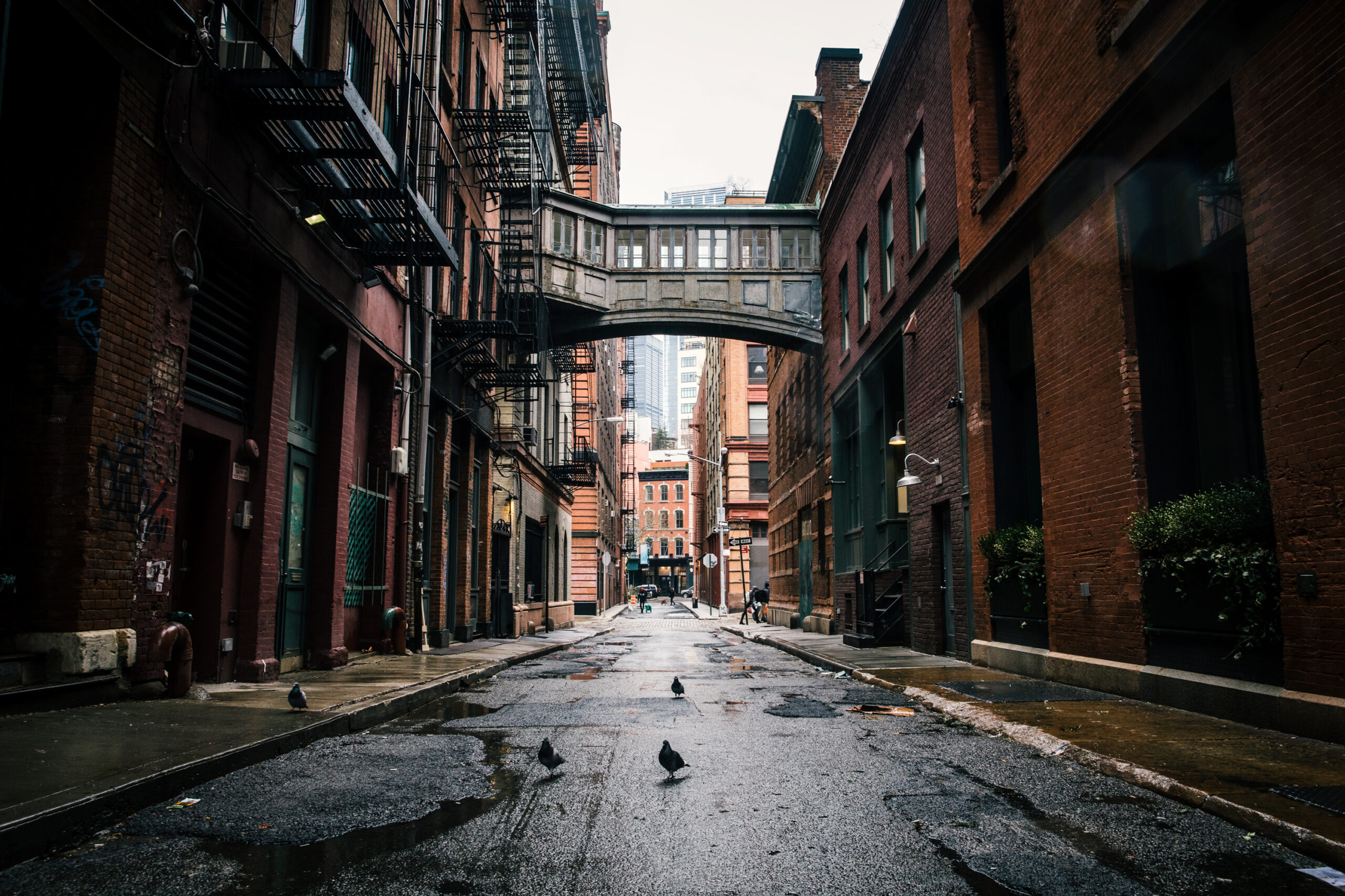 Staple Street Skybridge