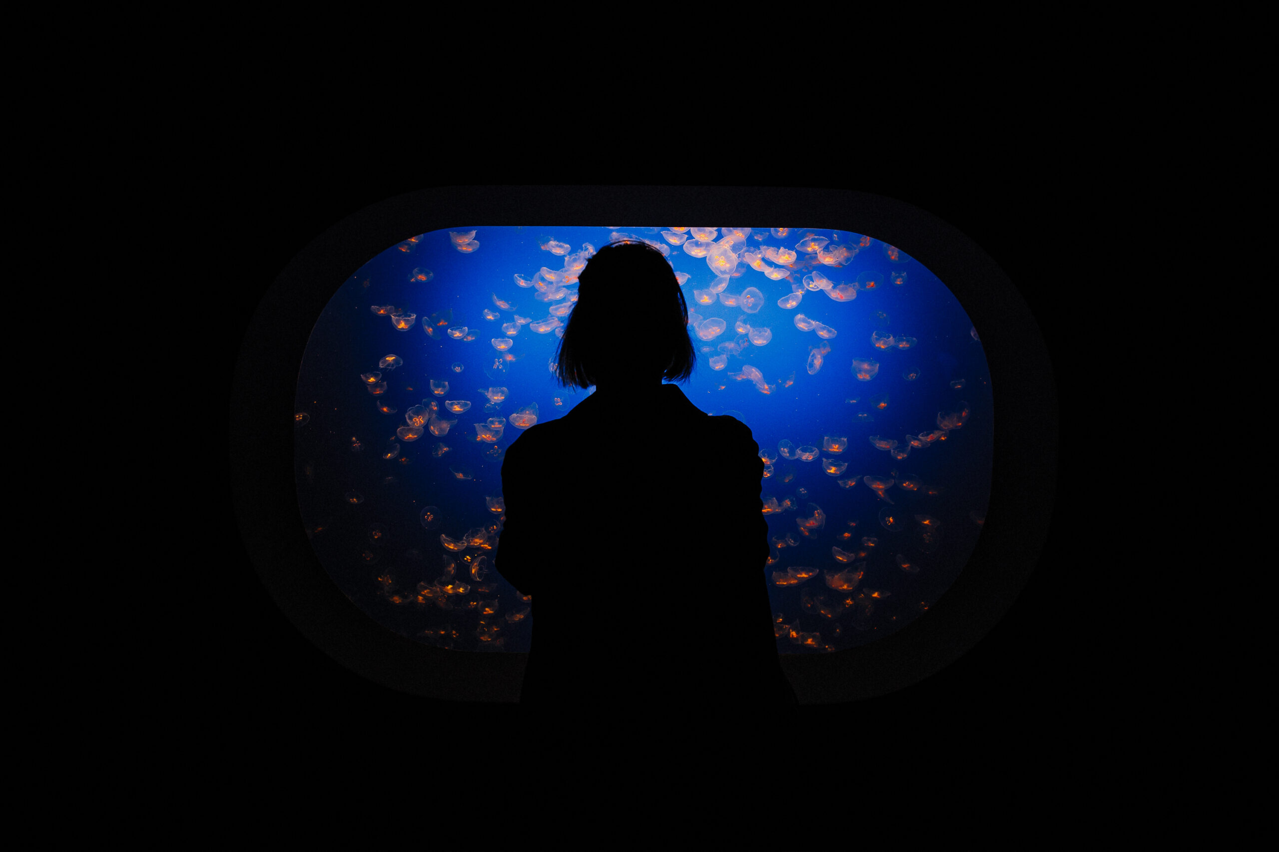 Cecilie @ Monterey Bay Aquarium