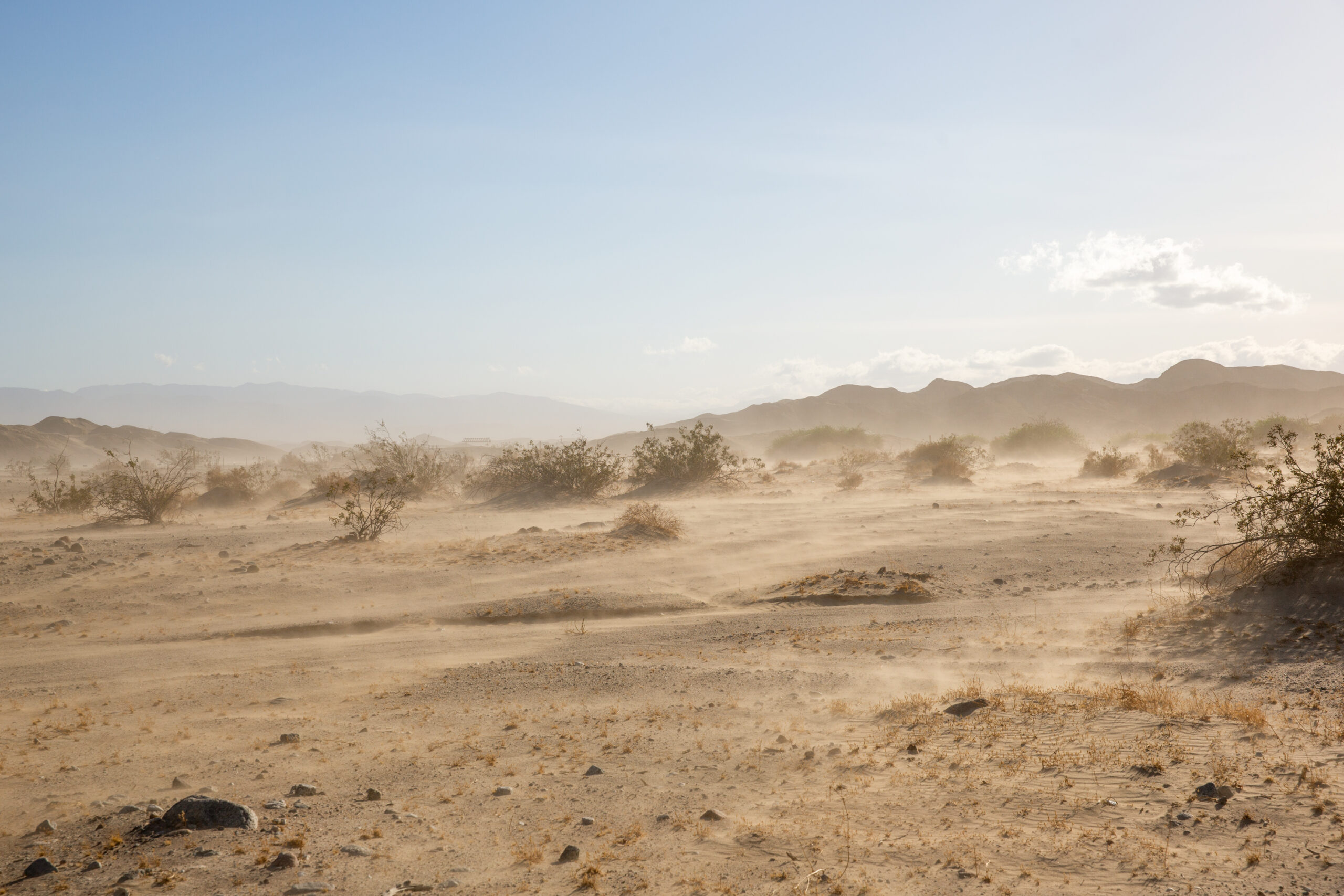 Anza-Borrego Desert State Park