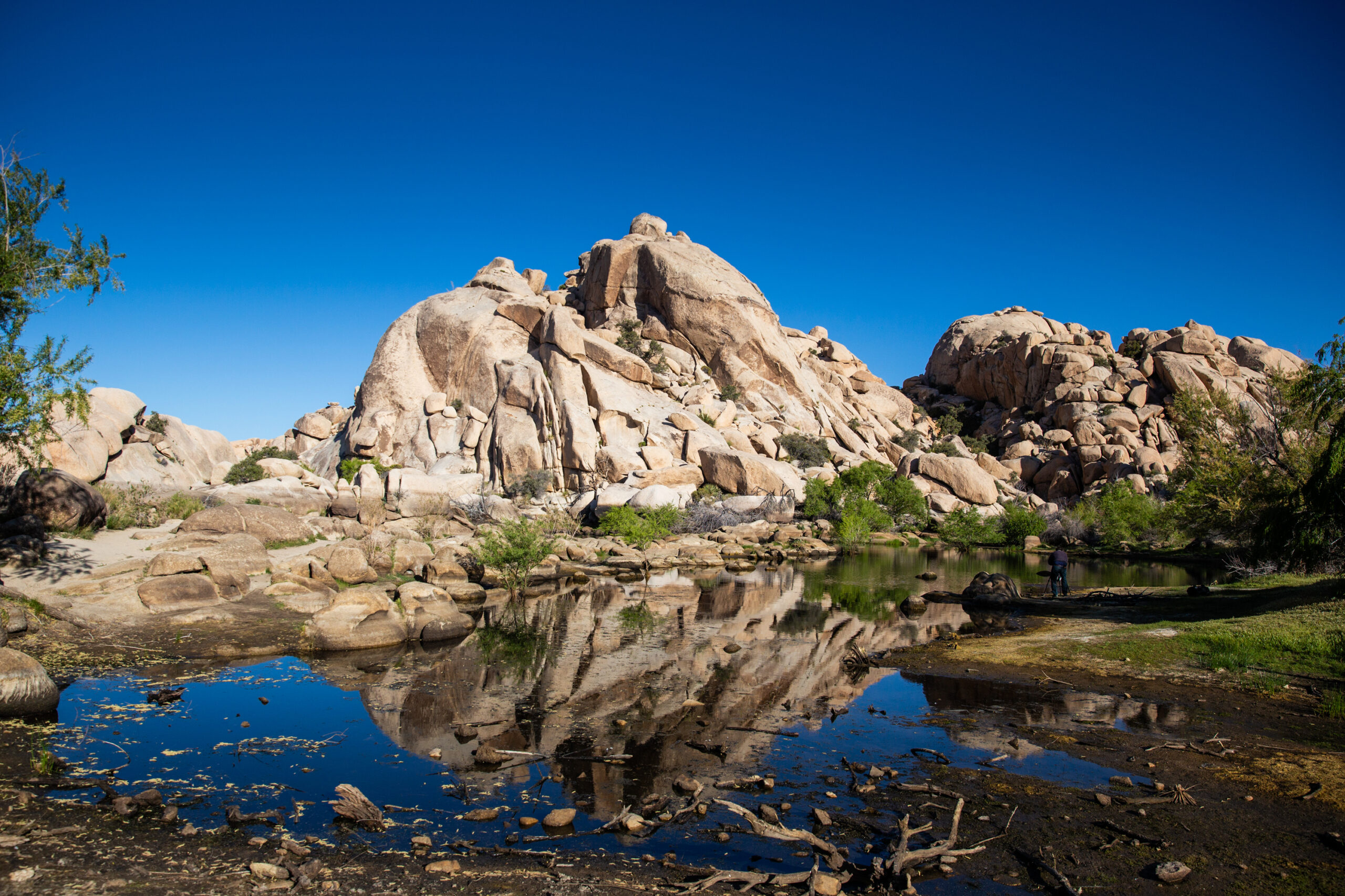 Somewhere in Joshua Tree