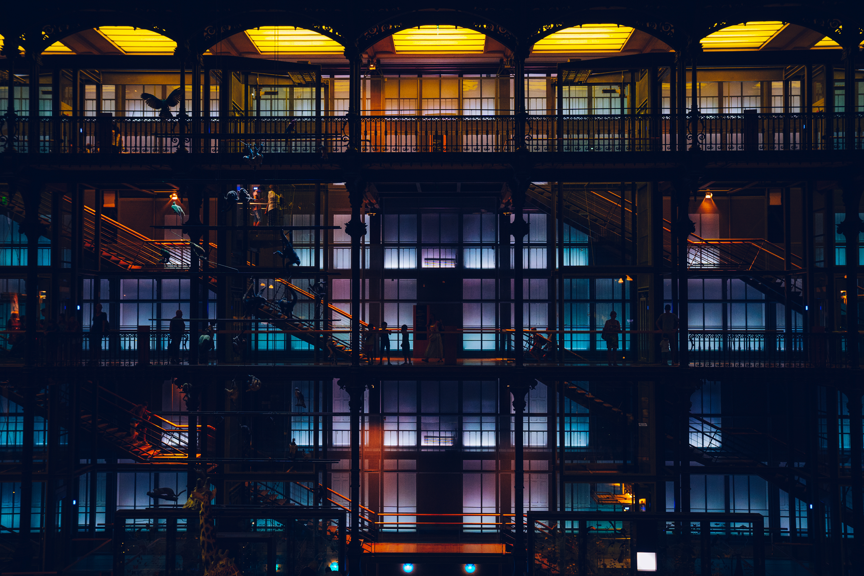 National Museum of Natural History
