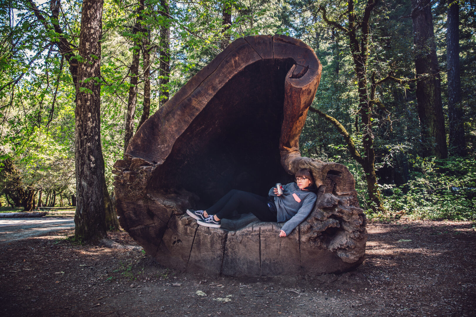 Avenue of the Giants