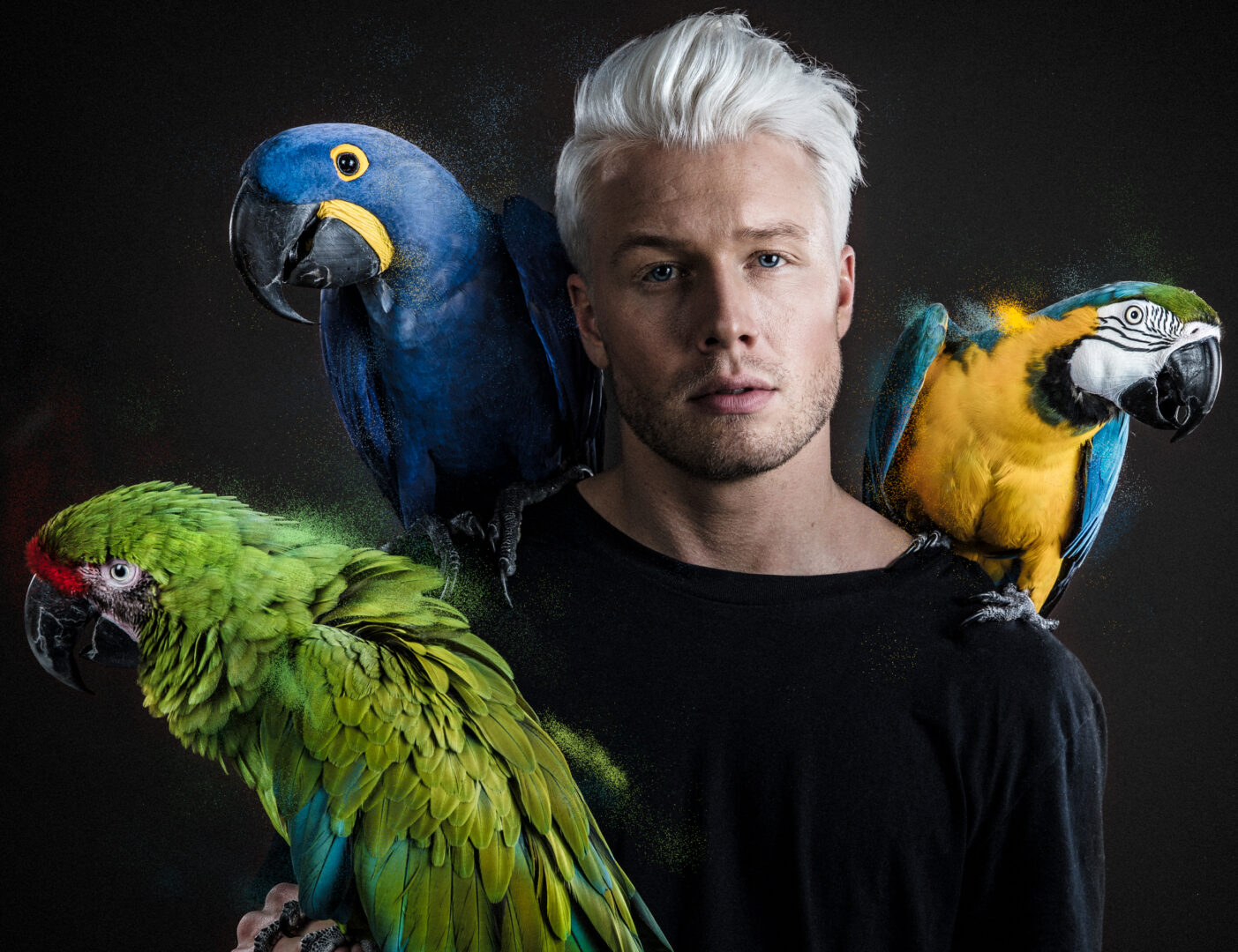 Herman Flesvig / P3 Gull 2018